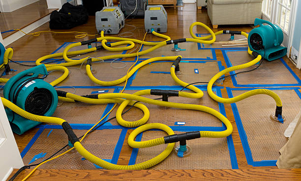 Professional Storm Water Damage Restoration technician working in Montgomery, TX